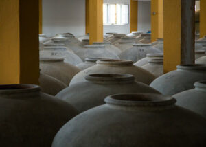 Bodegas y almanzaras