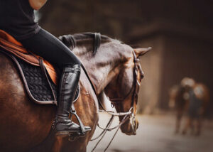 espectáculo ecuestre