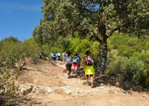 Actividades en la naturaleza